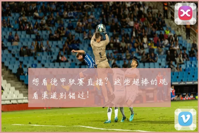 想看德甲联赛直播？这些超棒的观看渠道别错过！
