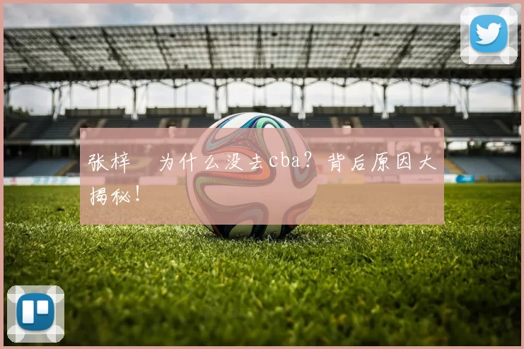 张梓祎为什么没去cba？背后原因大揭秘！