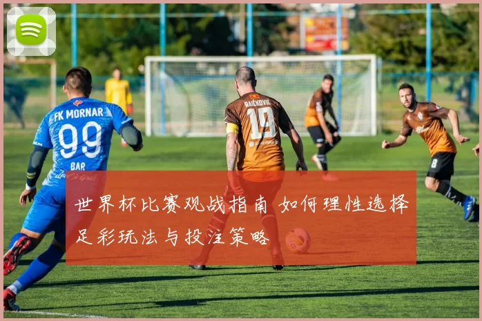 世界杯比赛观战指南 如何理性选择足彩玩法与投注策略